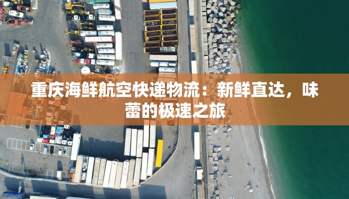 重庆海鲜航空快递物流：新鲜直达，味蕾的极速之旅