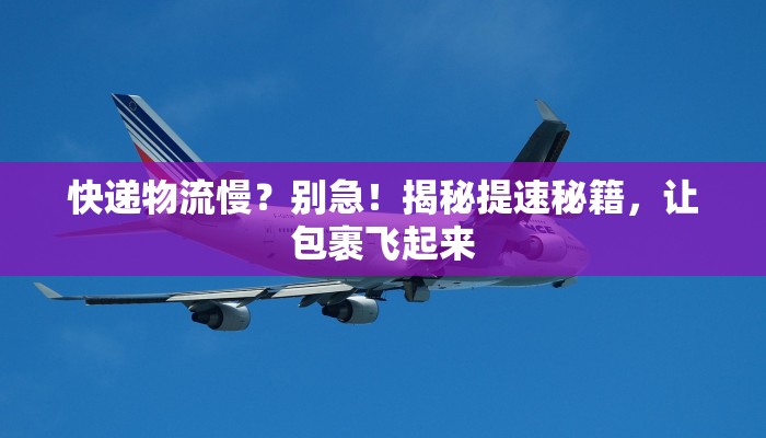 快递物流慢？别急！揭秘提速秘籍，让包裹飞起来