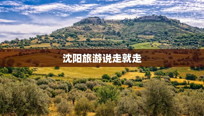 济南最新疫情最新情况