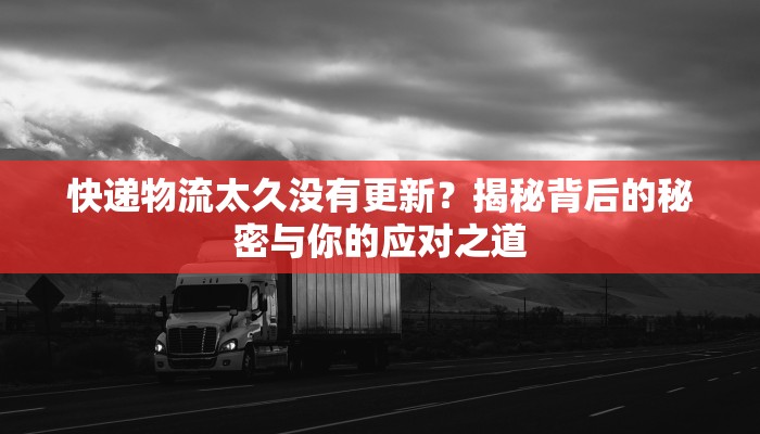 邵阳疫情最新大数据：守护健康，科学防控新篇章