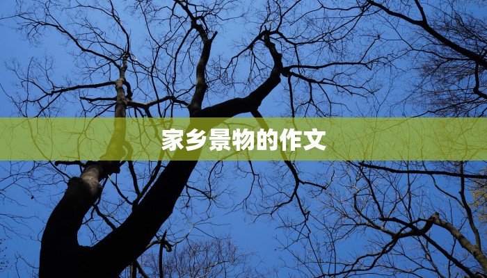 家乡景物的作文