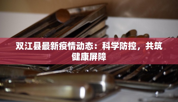 双江县最新疫情动态：科学防控，共筑健康屏障