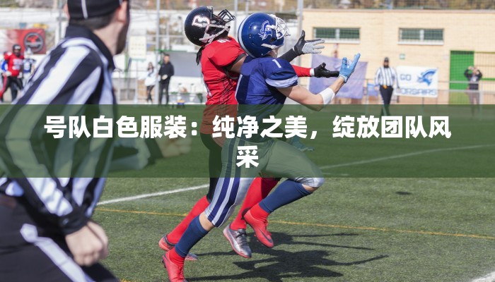 天猫物流快递员：奔波背后的闪光人生