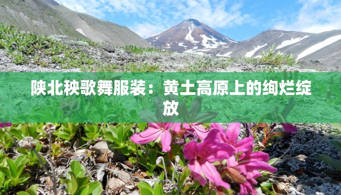 陕北秧歌舞服装:黄土高原上的绚烂绽放 陕北秧歌舞服装:黄土高原上的绚烂绽放