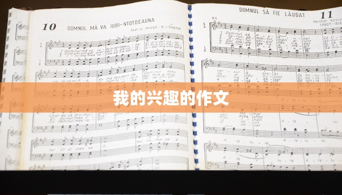 我的兴趣的作文