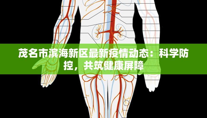 茂名市滨海新区最新疫情动态：科学防控，共筑健康屏障