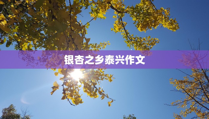 银杏之乡泰兴作文 银杏之乡泰兴作文