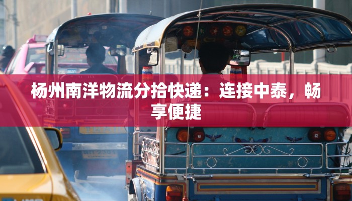 杨州南洋物流分拾快递：连接中泰，畅享便捷