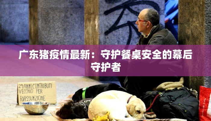 广东猪疫情最新：守护餐桌安全的幕后守护者