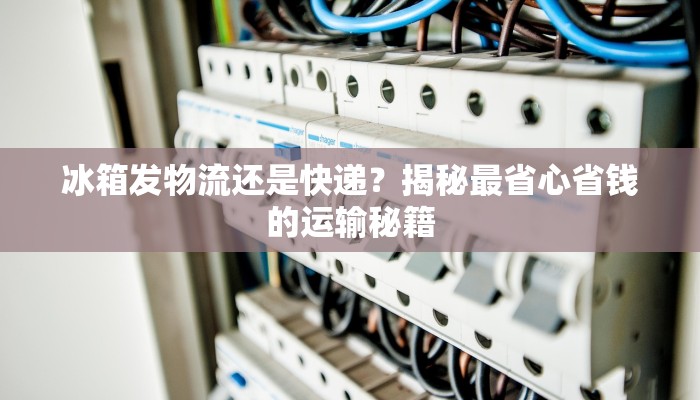 冰箱发物流还是快递?揭秘最省心省钱的运输秘籍 冰箱发物流还是快递?揭秘最省心省钱的运输秘籍