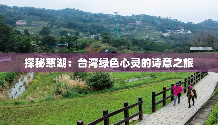 探秘慈湖：台湾绿色心灵的诗意之旅