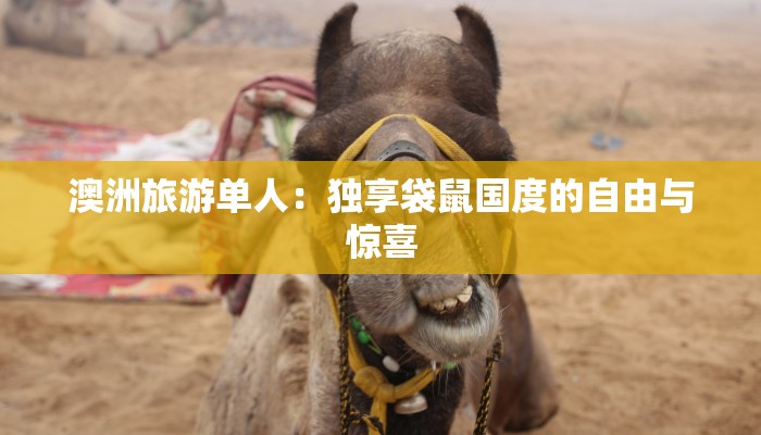 澳洲旅游单人：独享袋鼠国度的自由与惊喜